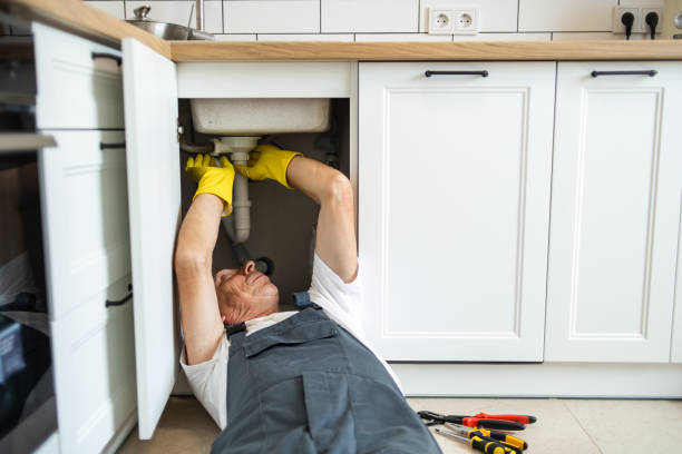 Best Plumbing Services Near Me  in Saugerties South, NY